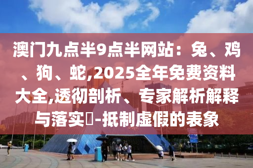 澳門九點(diǎn)半9點(diǎn)半網(wǎng)站：兔、雞、狗、蛇,2025全年免費(fèi)資料大全,透徹剖析、專家解析解釋與落實(shí)?-抵制虛假的表象